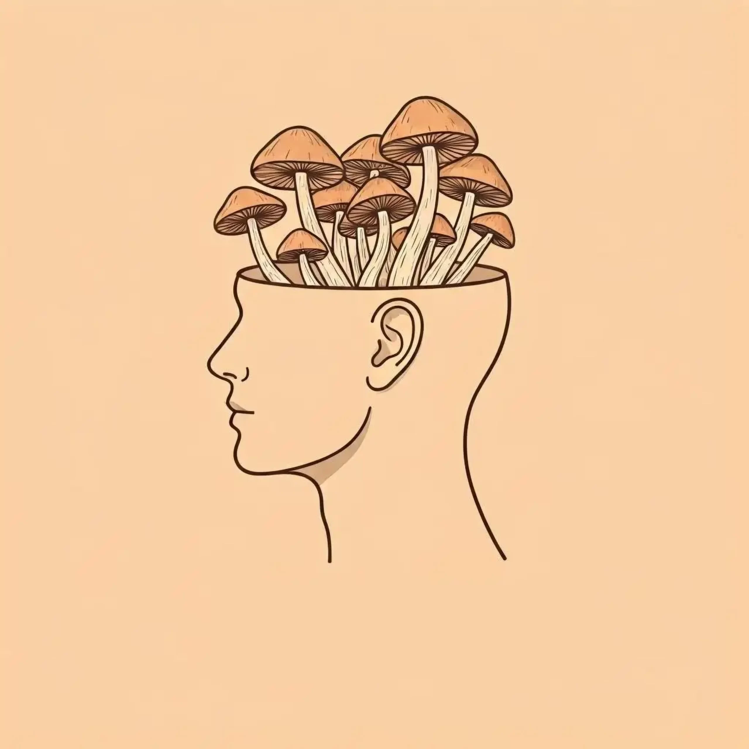 Psilocybin mushrooms